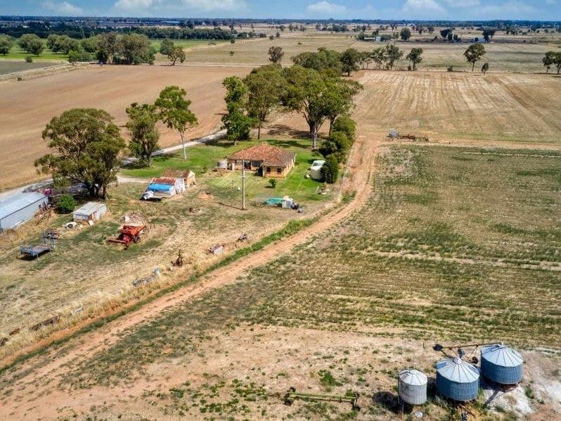 1226 Wilson Road, Tongala VIC 3621, Tongala - Thumbnail 4