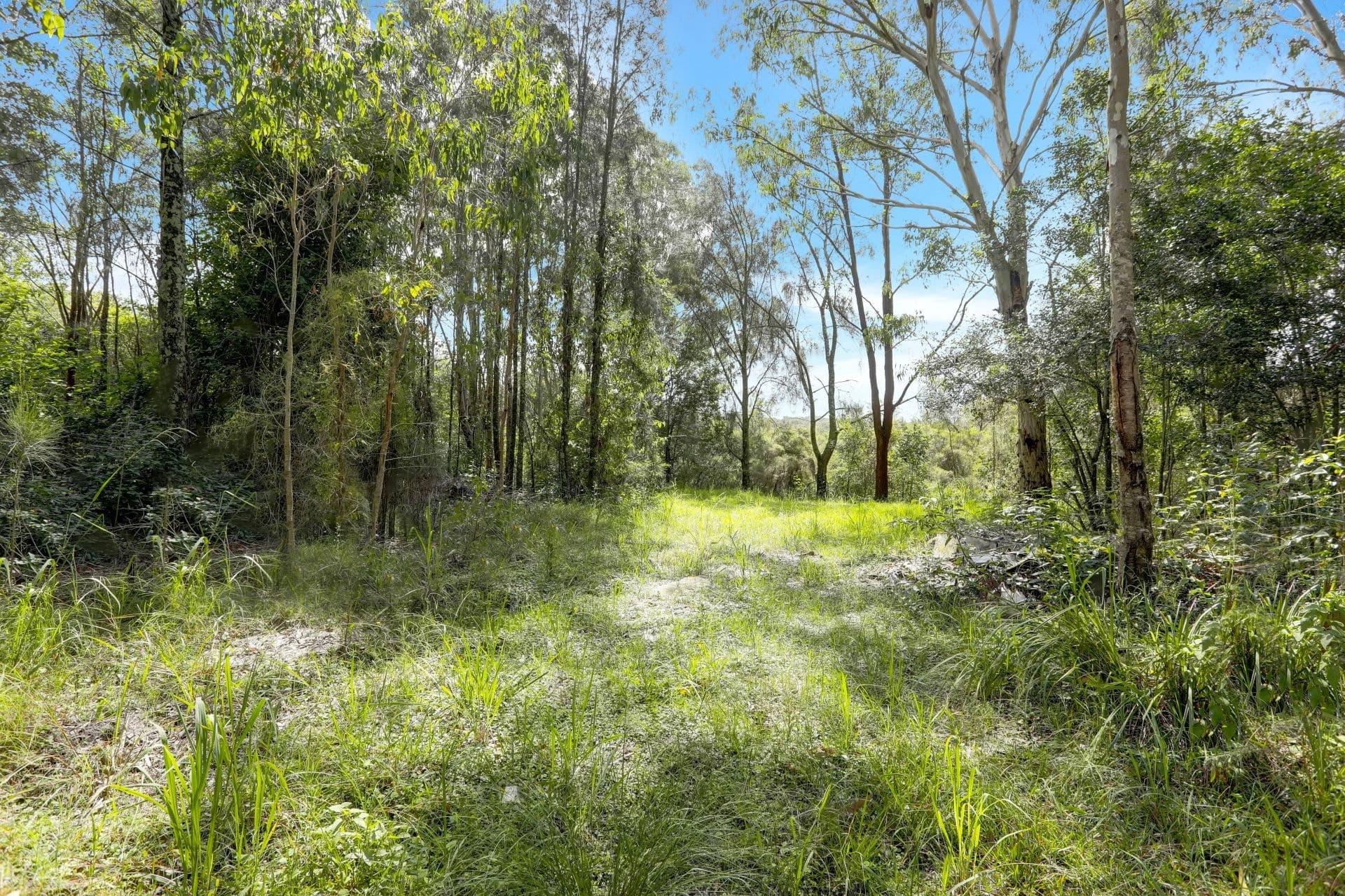 190 Jensen Road, Wadalba, Wadalba - Image 1