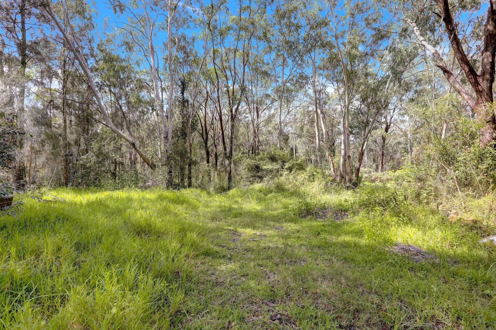 190 Jensen Road, Wadalba, Wadalba - Thumbnail 3
