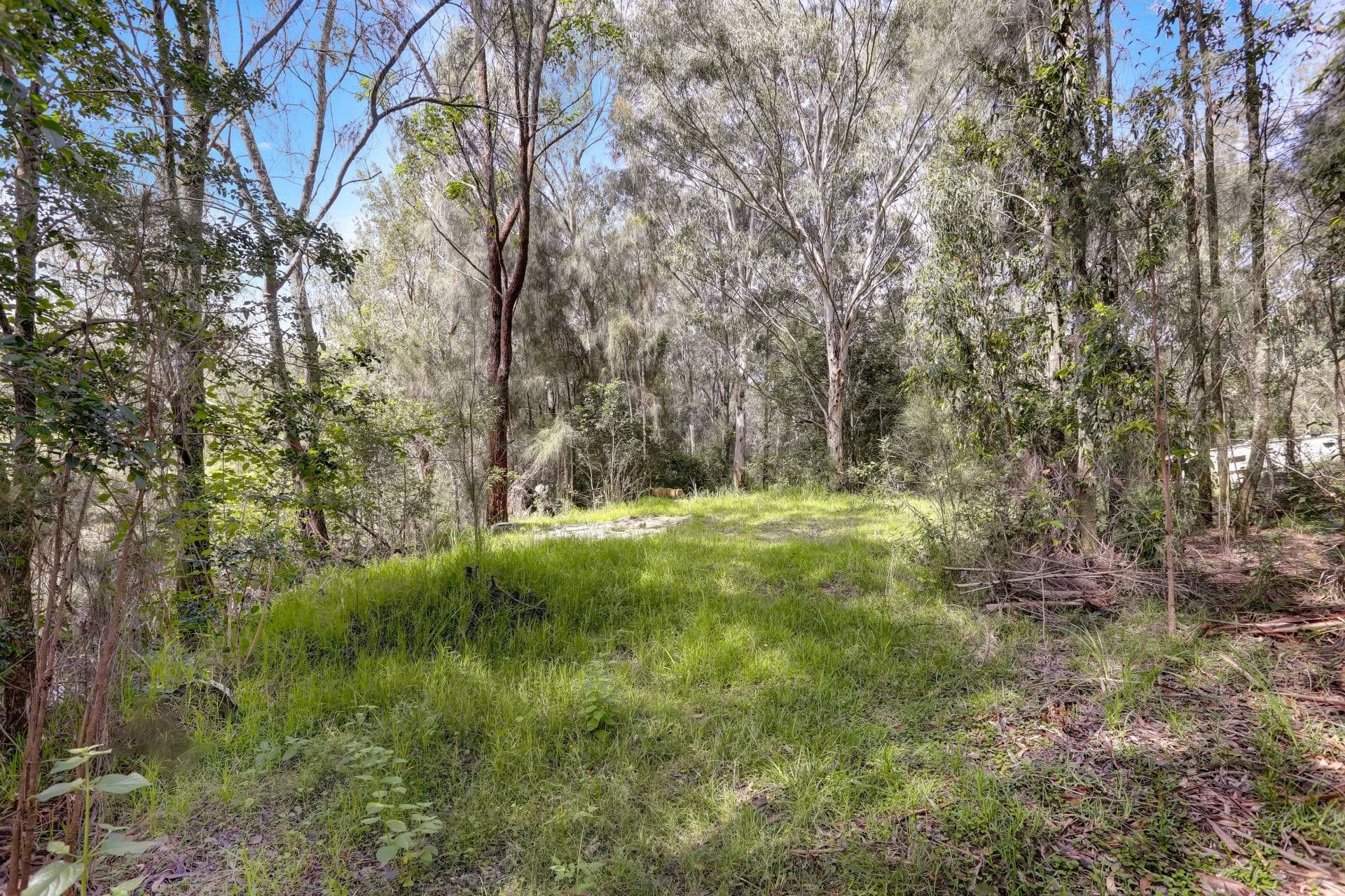 190 Jensen Road, Wadalba, Wadalba - Thumbnail 5