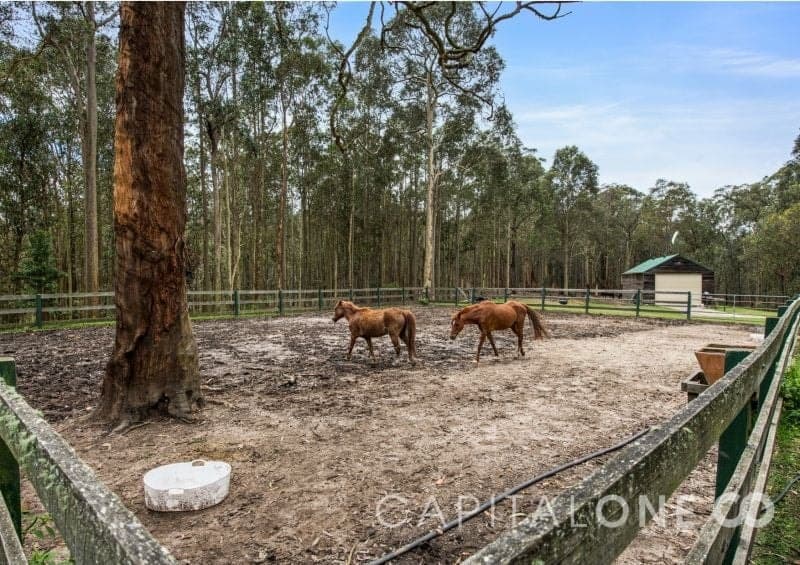 873 Dicksons Road, Durren Durren NSW, Durren Durren - Thumbnail 5