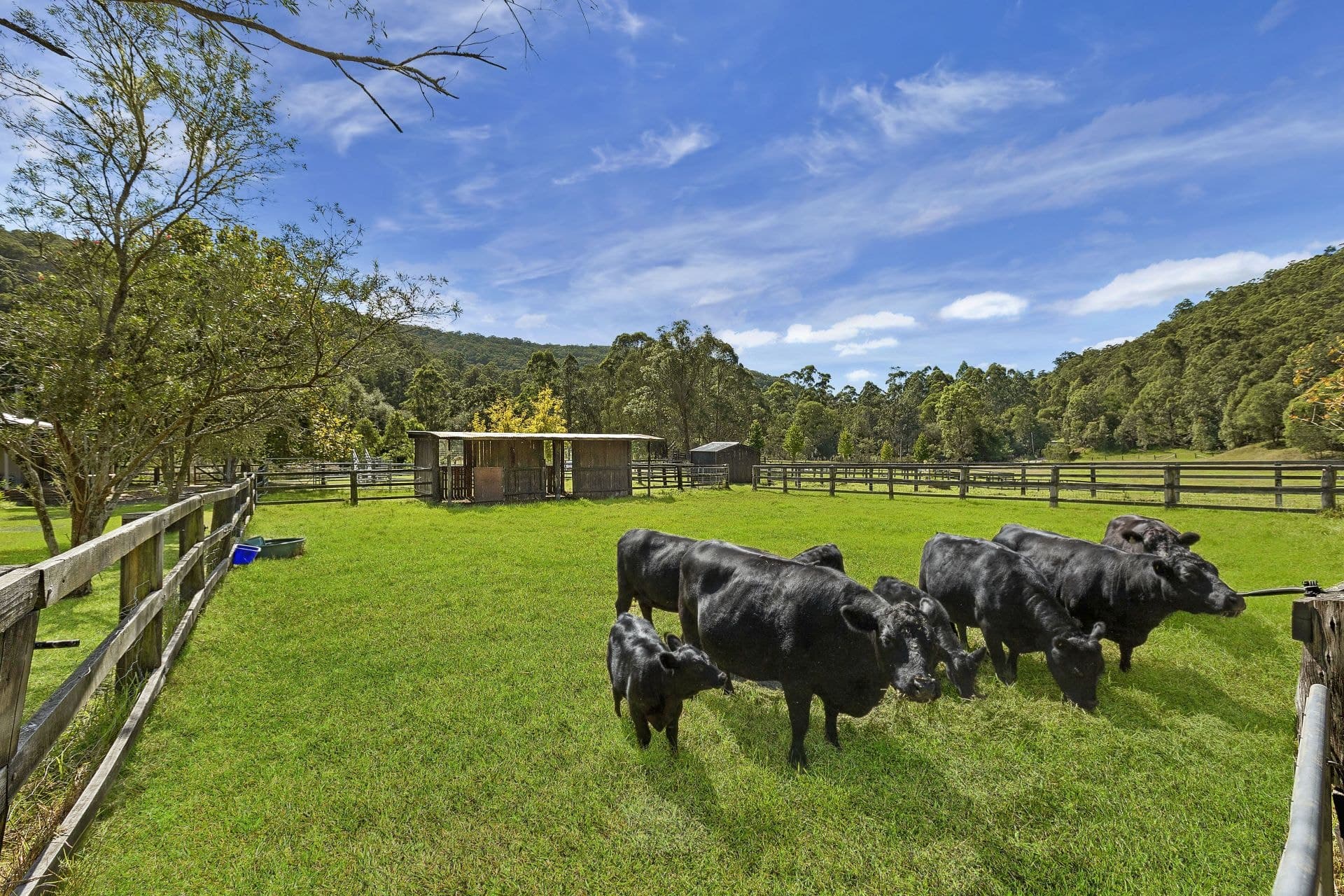 Lot 12, 18 Bunning Creek Road, Yarramalong NSW, Yarramalong - Thumbnail 4