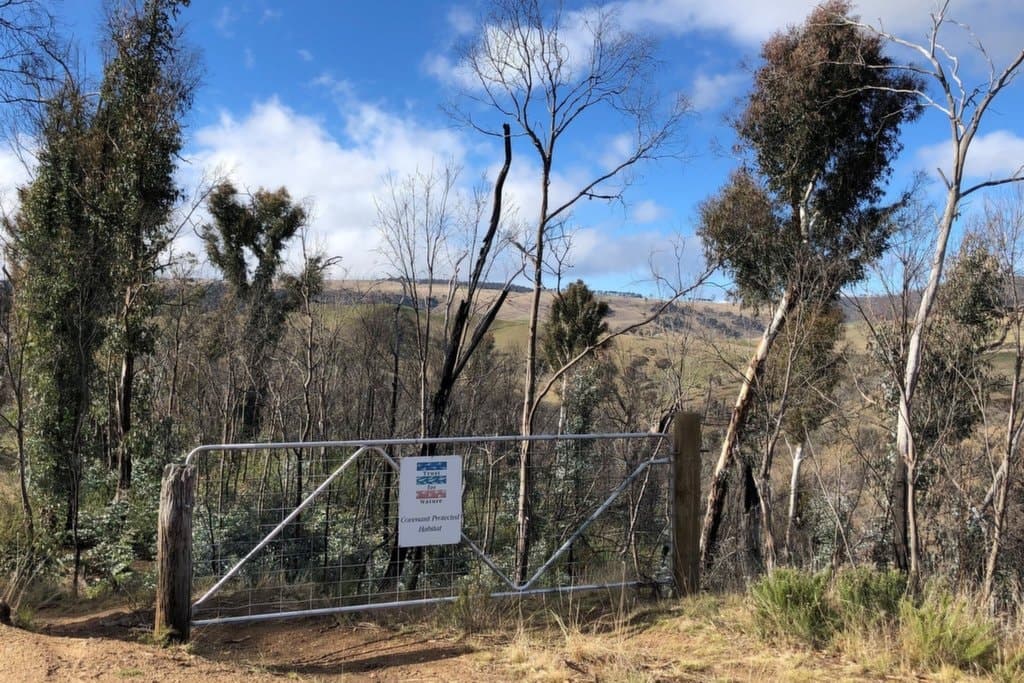 540 Victoria Falls Road, Cobungra - Thumbnail 2