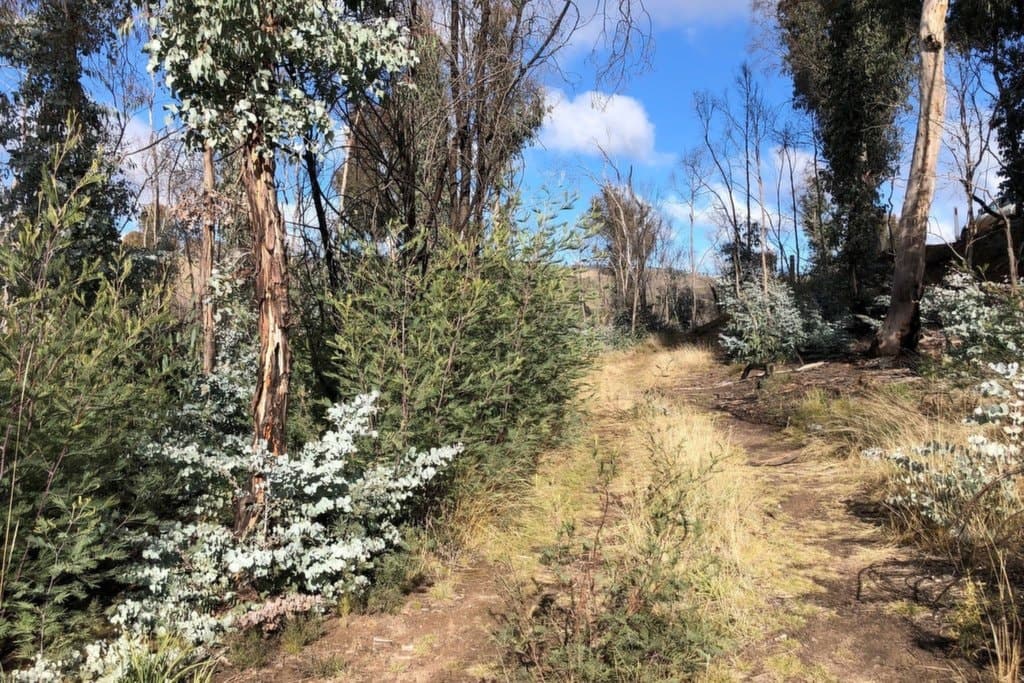 540 Victoria Falls Road, Cobungra - Thumbnail 3