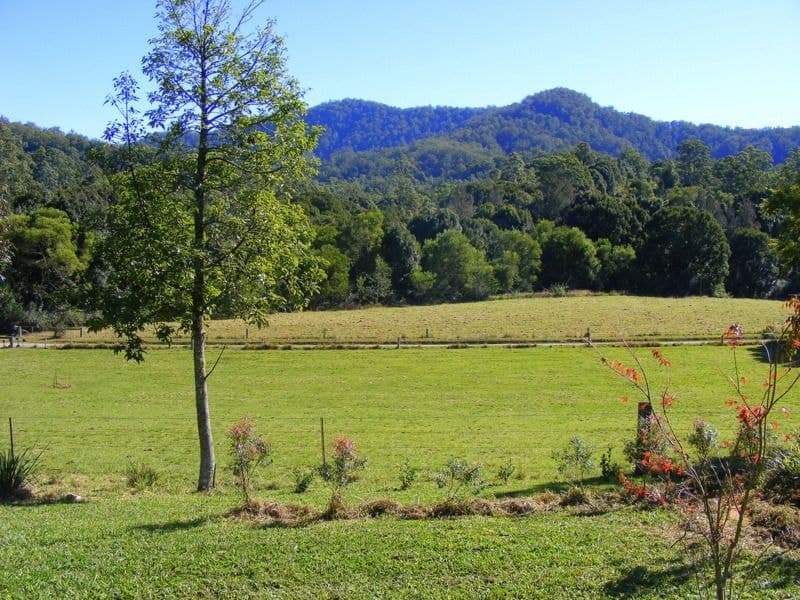 1537 Kalang Road Kalang BELLINGEN NSW, Kalang Bellingen - Thumbnail 6