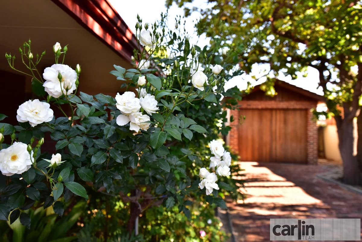 200a Forrest Street, PALMYRA WA 6157, Palmyra - Thumbnail 4