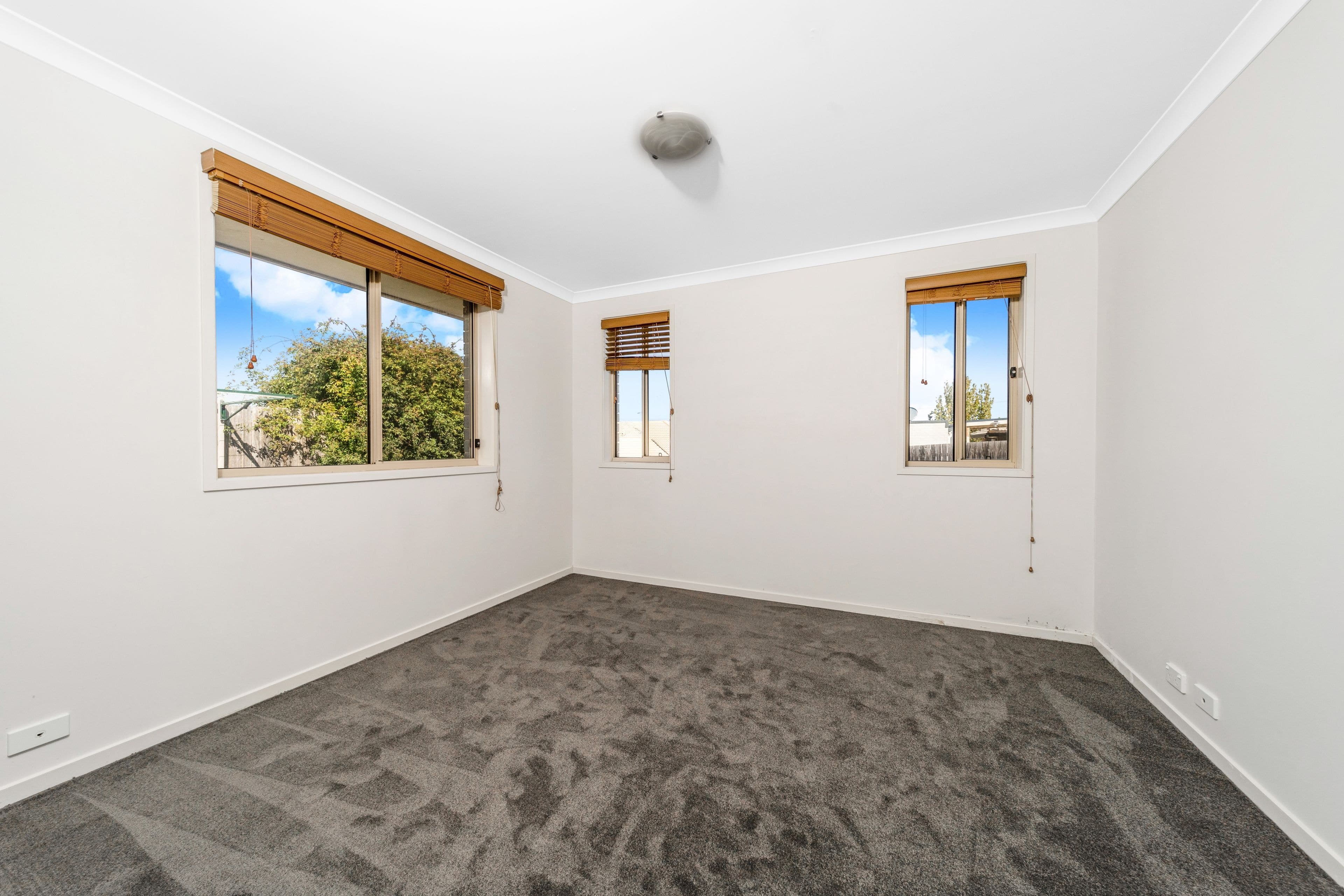 38 Rowland Street, Macgregor ACT 2615, Macgregor - Thumbnail 6