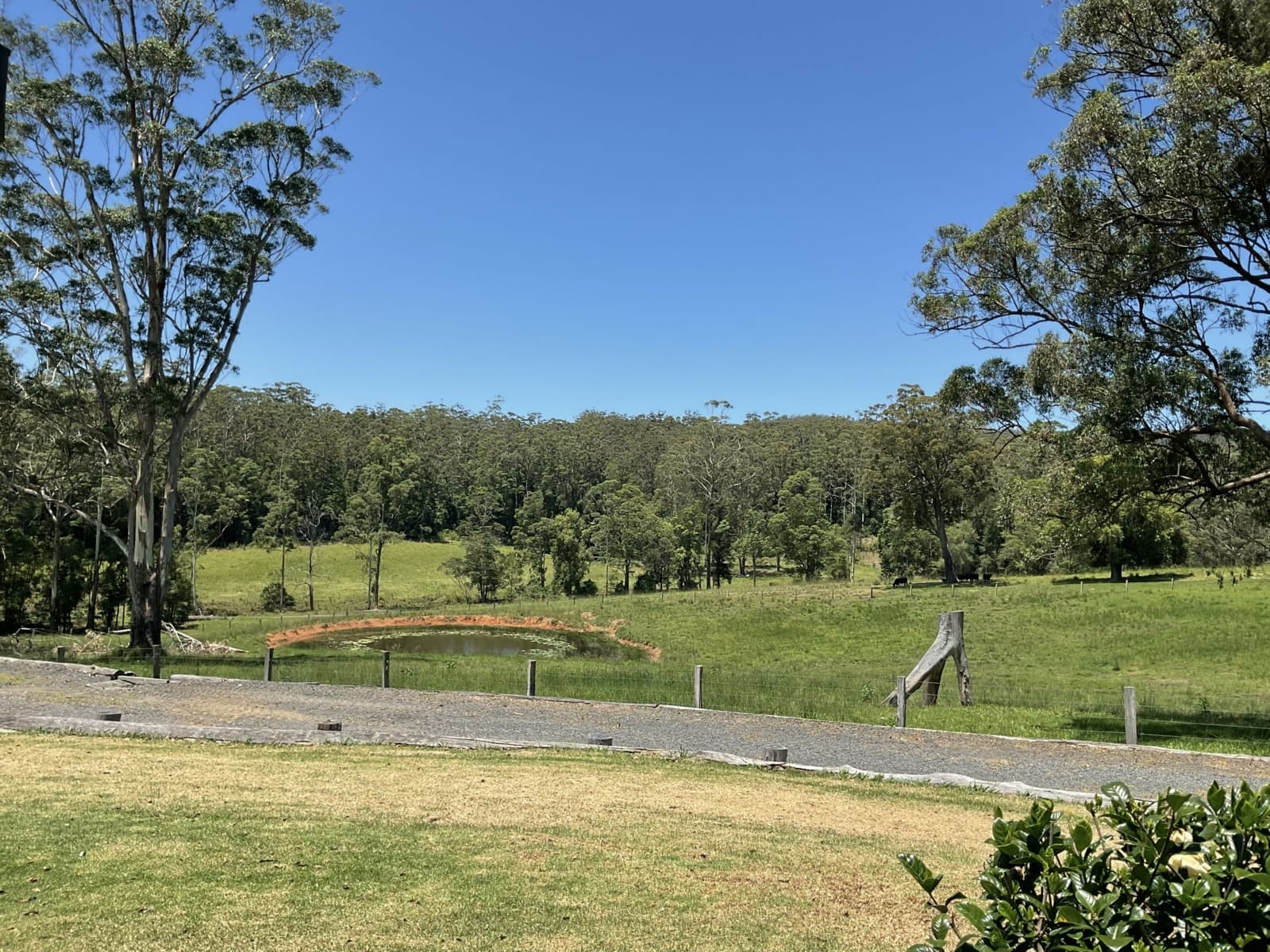 472A Bucca Road,Moonee Beach, Moonee Beach - Thumbnail 8