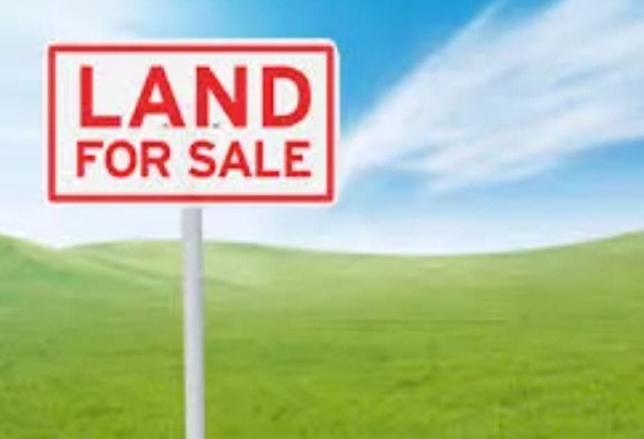 Lot 324, Macarthur Road Spring Farm NSW 2570, Macarthur Road - Image 1