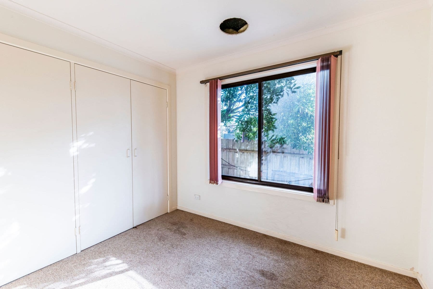 252 White Road, NORTH WONTHAGGI, VIC 3995, Australia, North Wonthaggi - Thumbnail 5