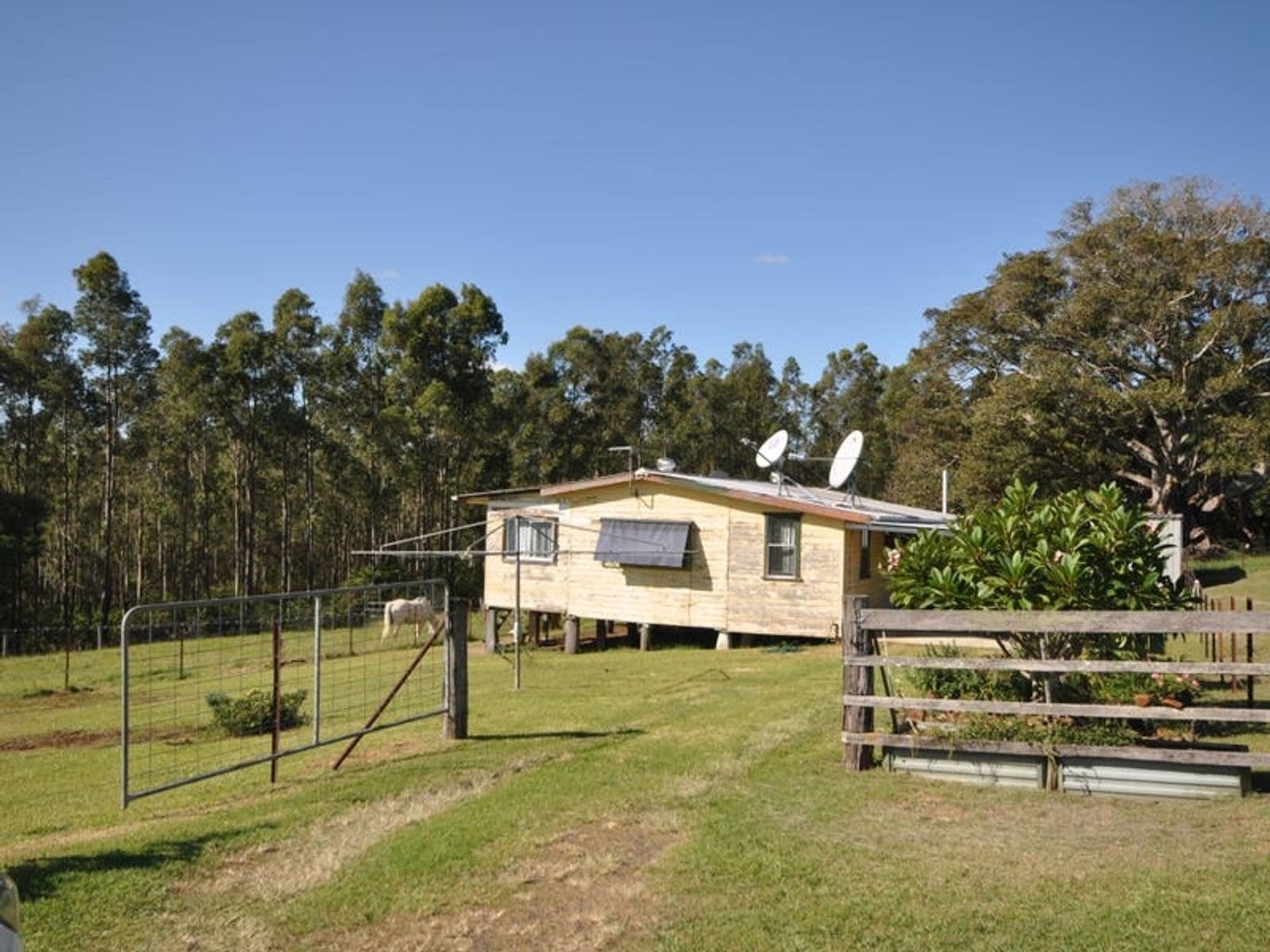 1955 Ellangowan Road, Ellangowan NSW 2470, Ellangowan - Thumbnail 3