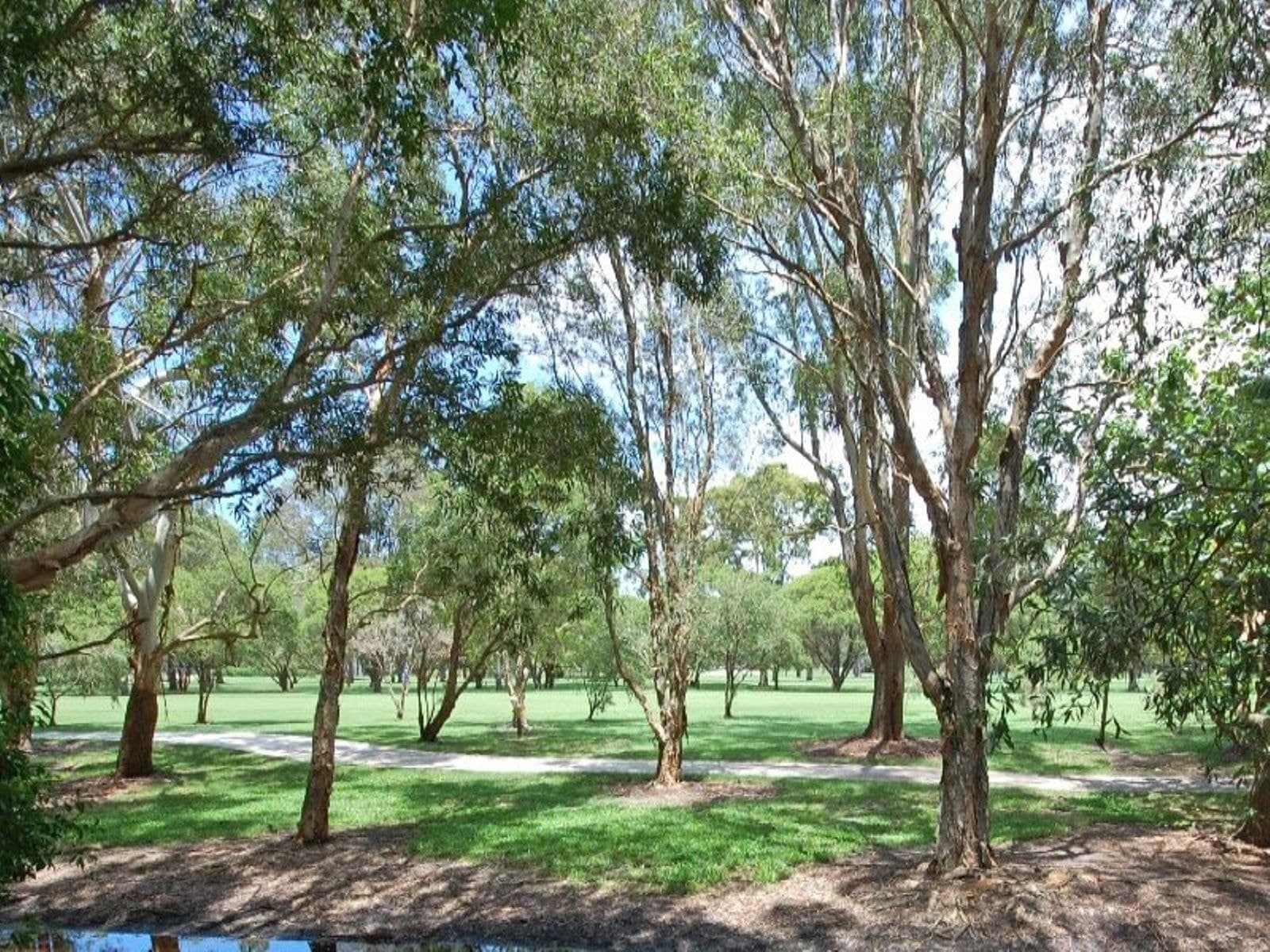 57 Shaw Street, Southport QLD 4215, Southport - Thumbnail 4