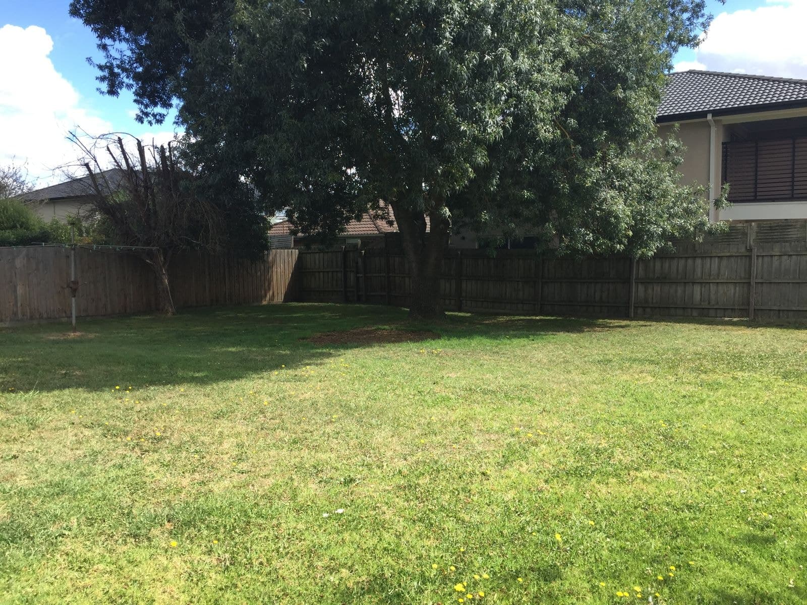 7 Loxton Avenue, Wantirna South VIC 3152, Wantirna South - Thumbnail 6