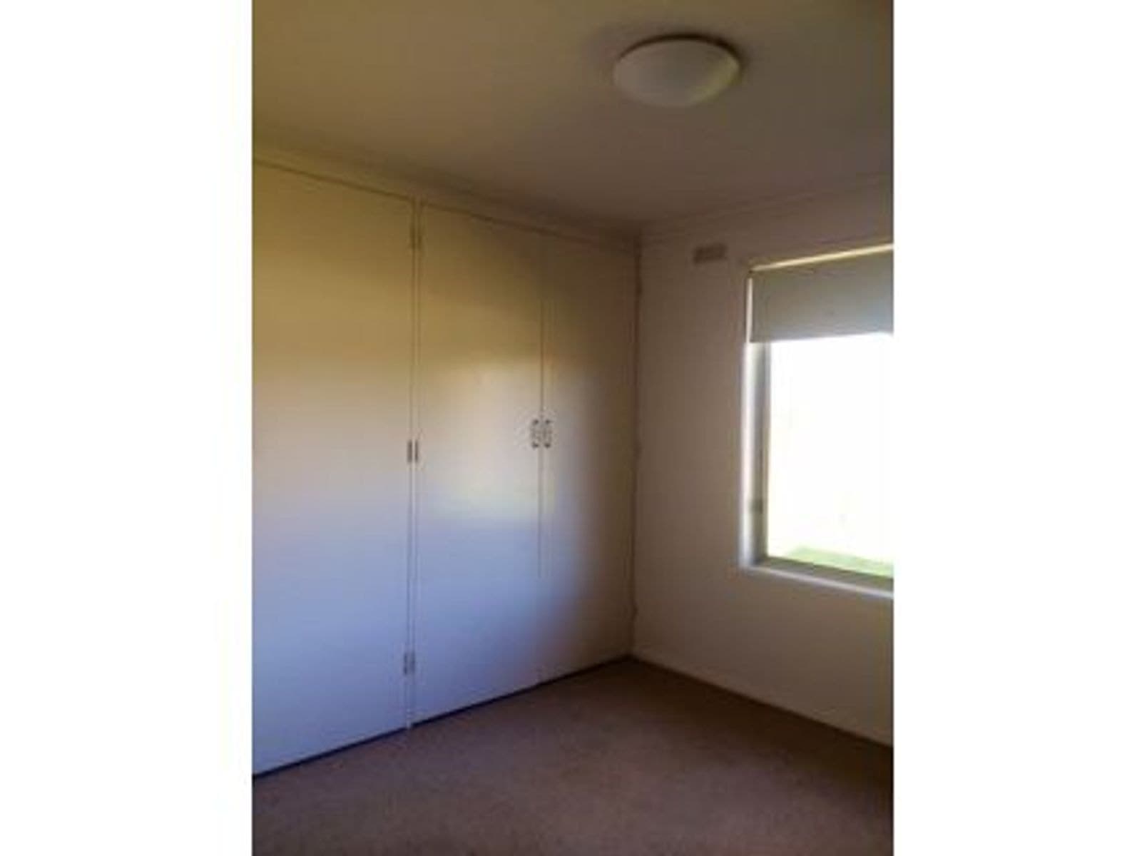 50B Kronk Street, Golden Square VIC 3555, Golden Square - Thumbnail 3
