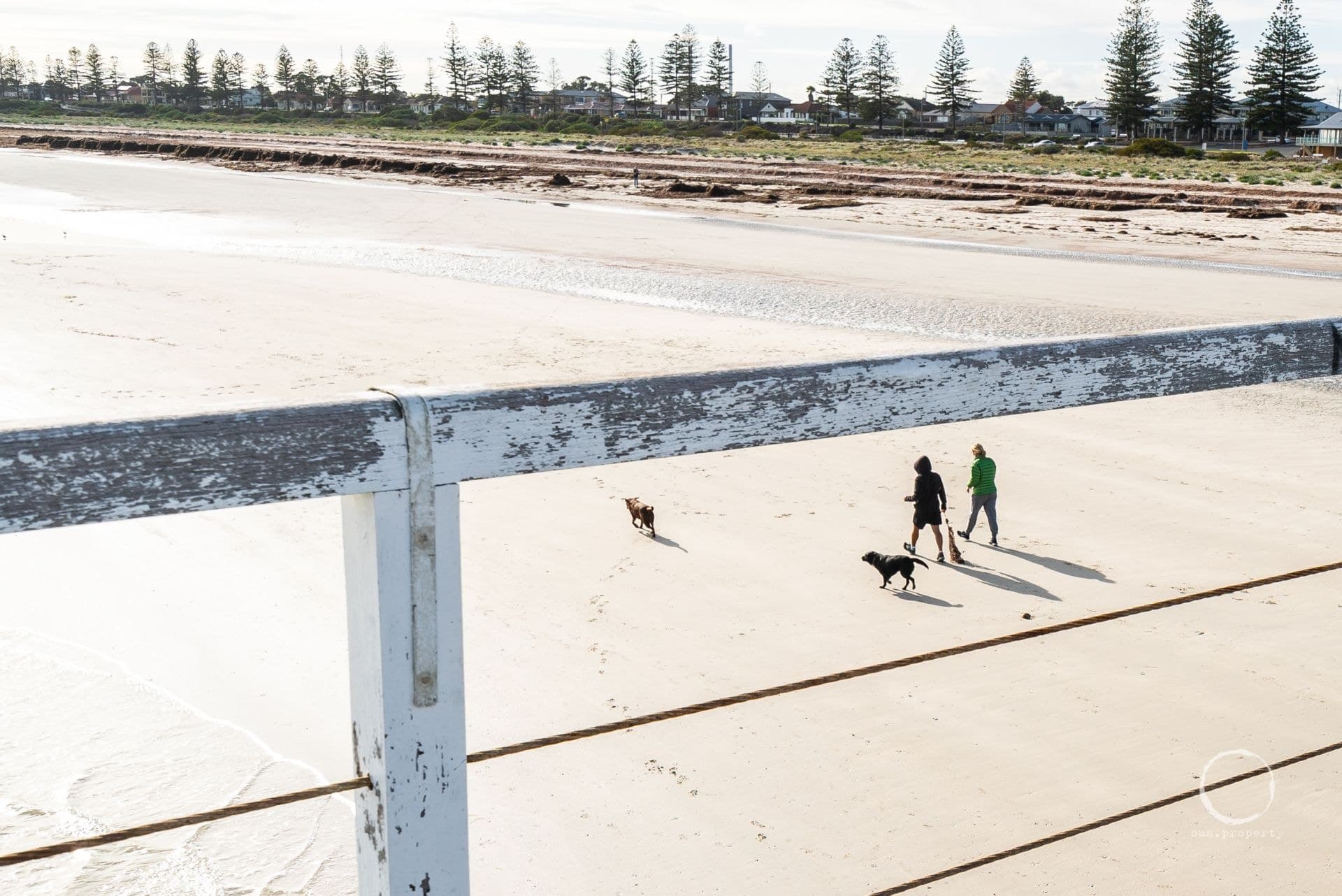 Lot 102, 18 Wandilla Street, Largs North - Thumbnail 6