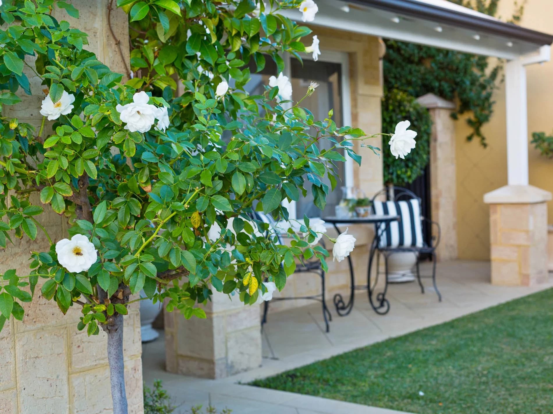 6/27 Falkirk Avenue, MAYLANDS WA 6051, Dianella - Thumbnail 6