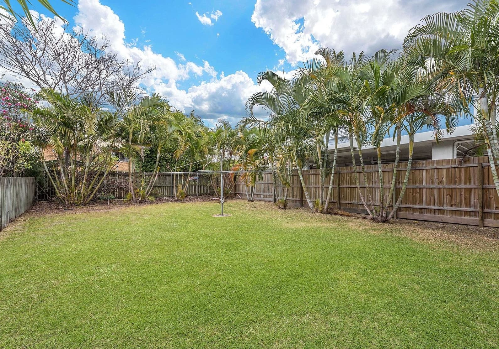 279 Cornwall Street, Greenslopes - Image 1