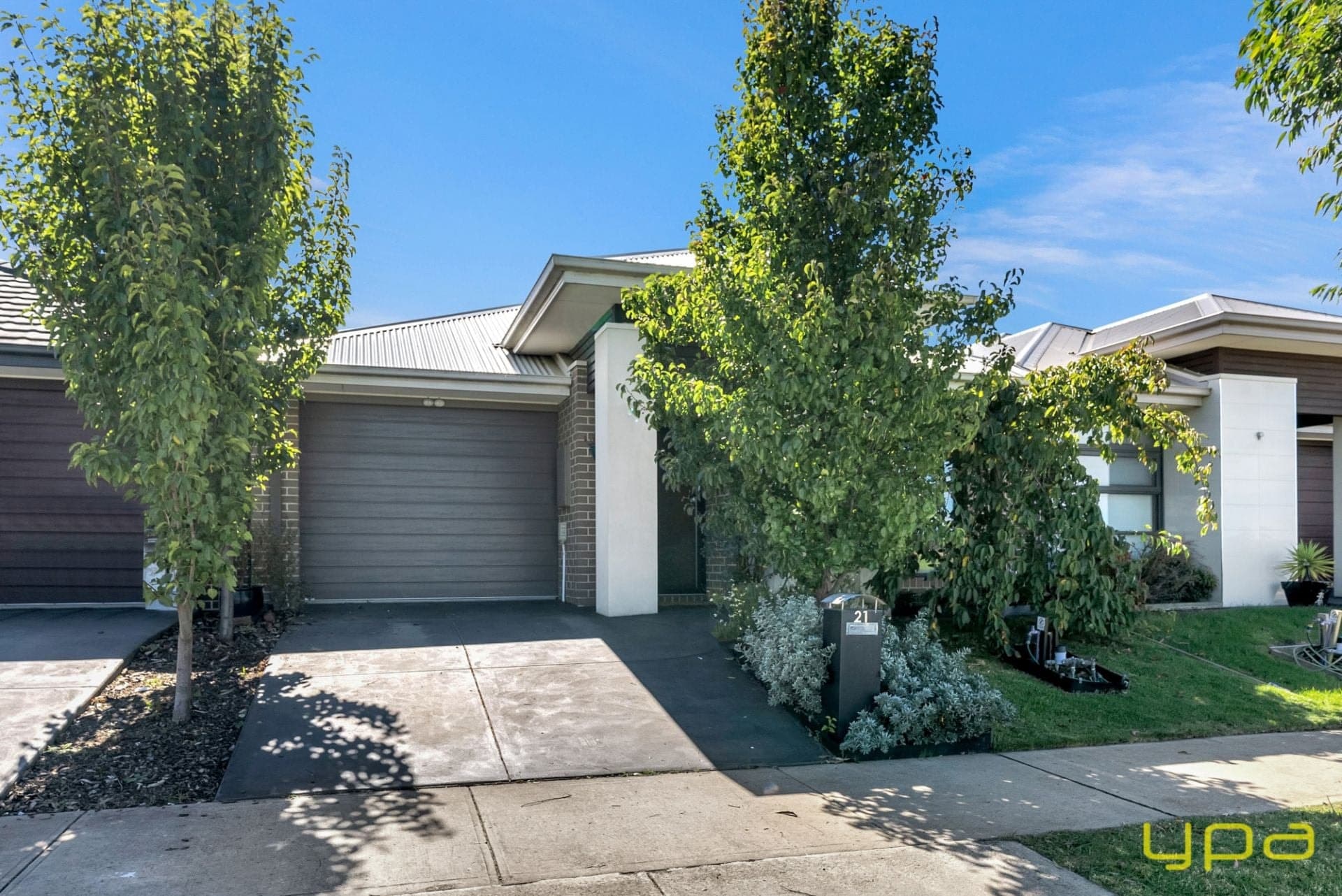 21 Springleaf Avenue, Clyde North, Clyde North - Thumbnail 2