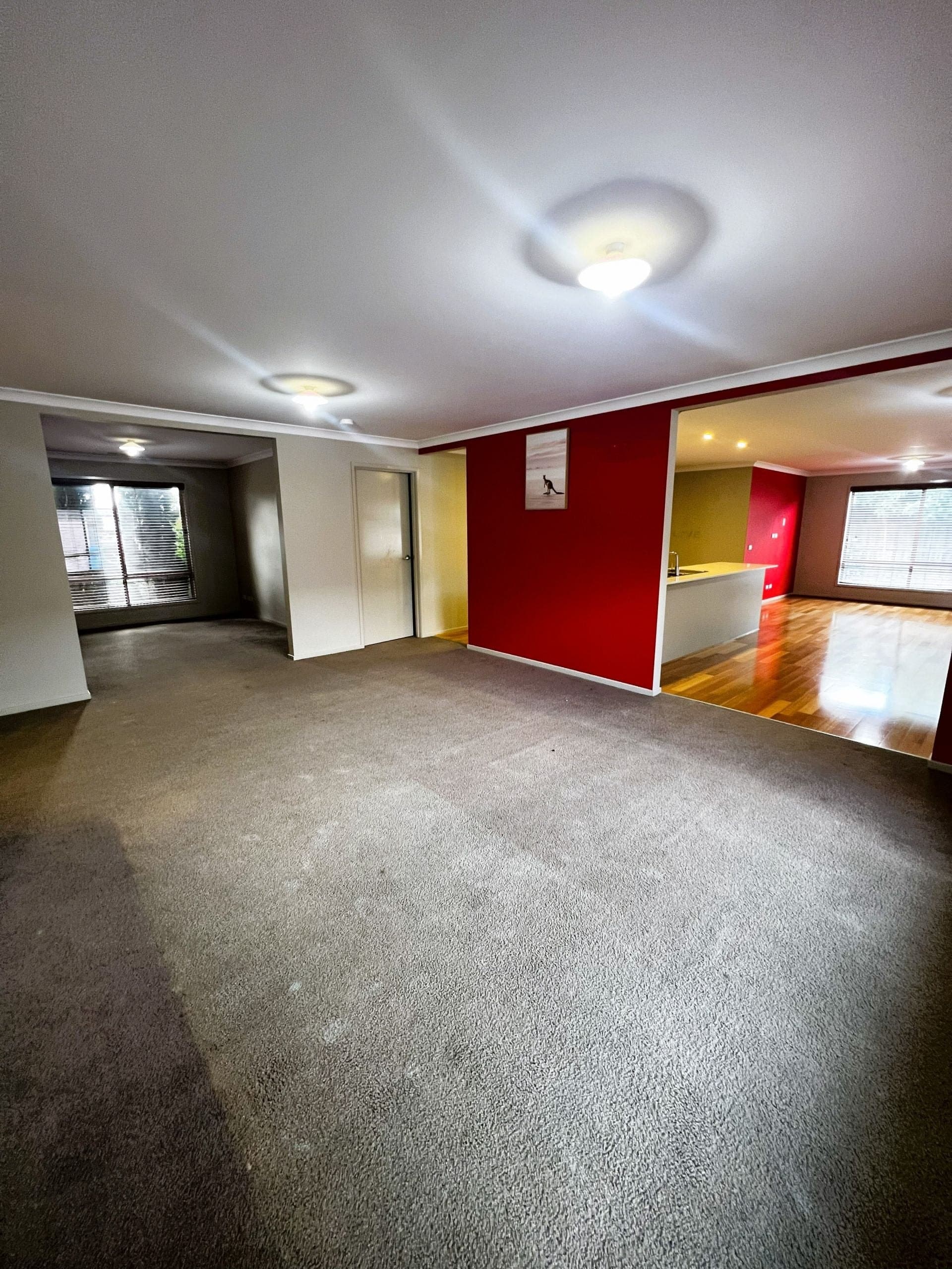 16 Bluemist Circuit, Lyndhurst, Lyndhurst - Thumbnail 4