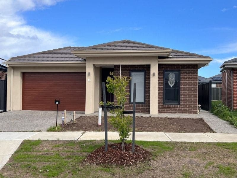 16 Carnation Street, Clyde, Clyde - Thumbnail 2