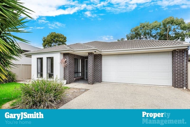 31 Rockville Avenue, Daw Park - Image 1