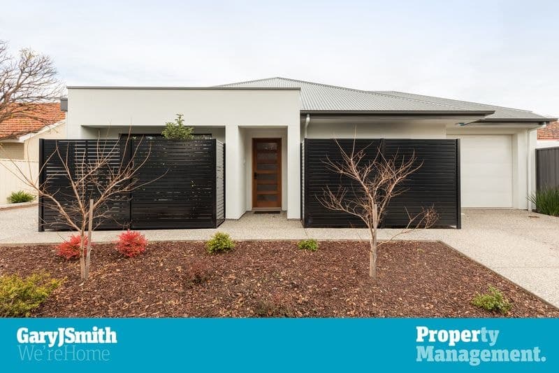 36 De Laine Avenue, Edwardstown - Image 1