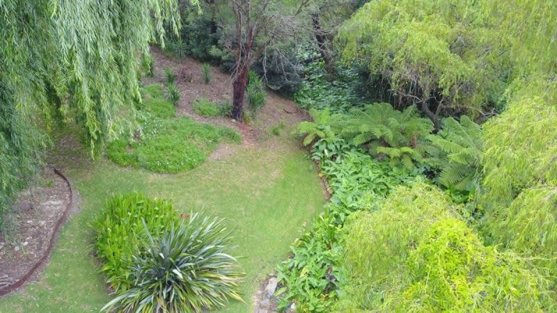 8 Bellbird Court Wolumla NSW, Wolumla - Image 1