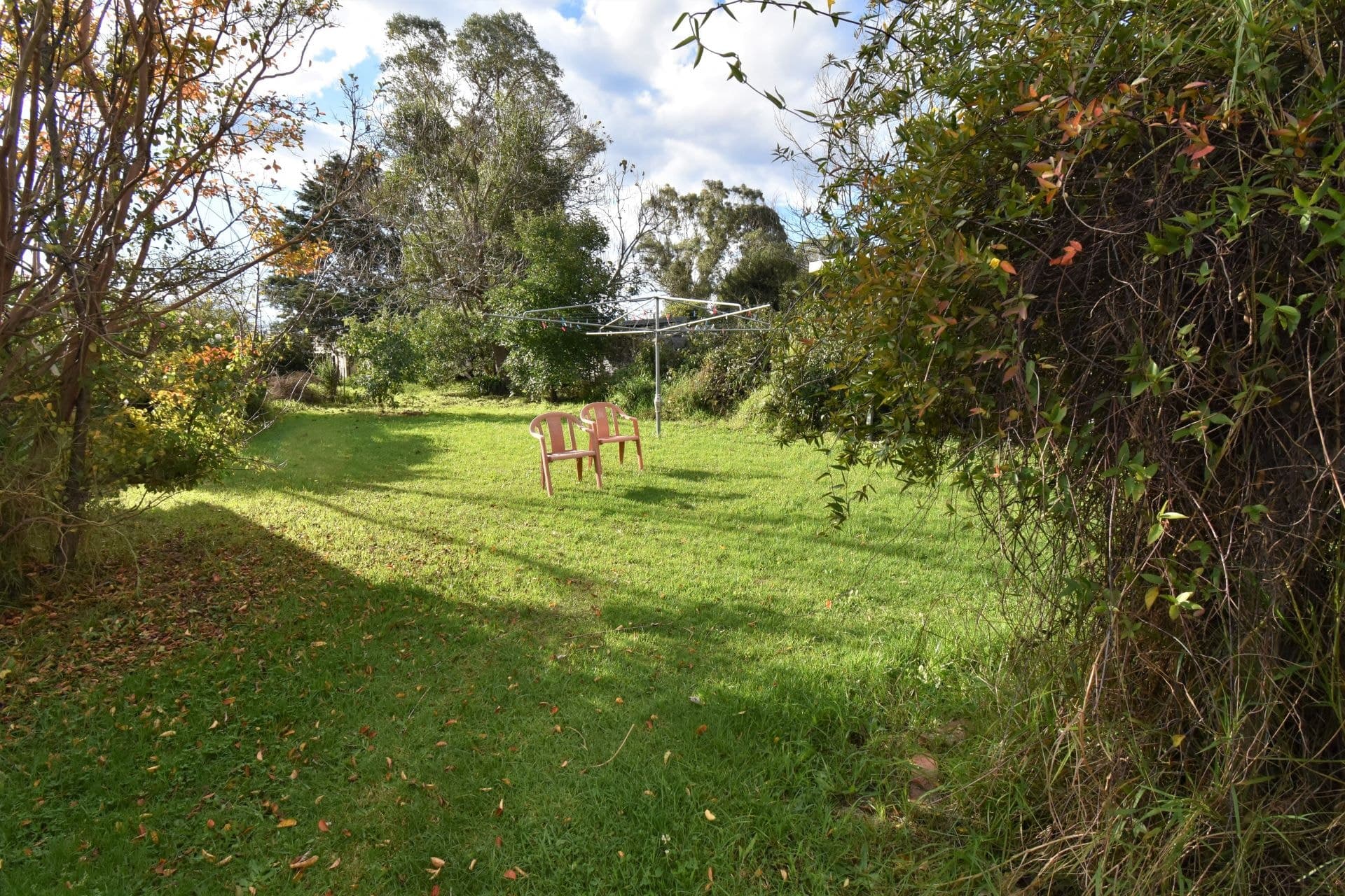 14 Hillview Street, Cobargo, Cobargo - Image 1