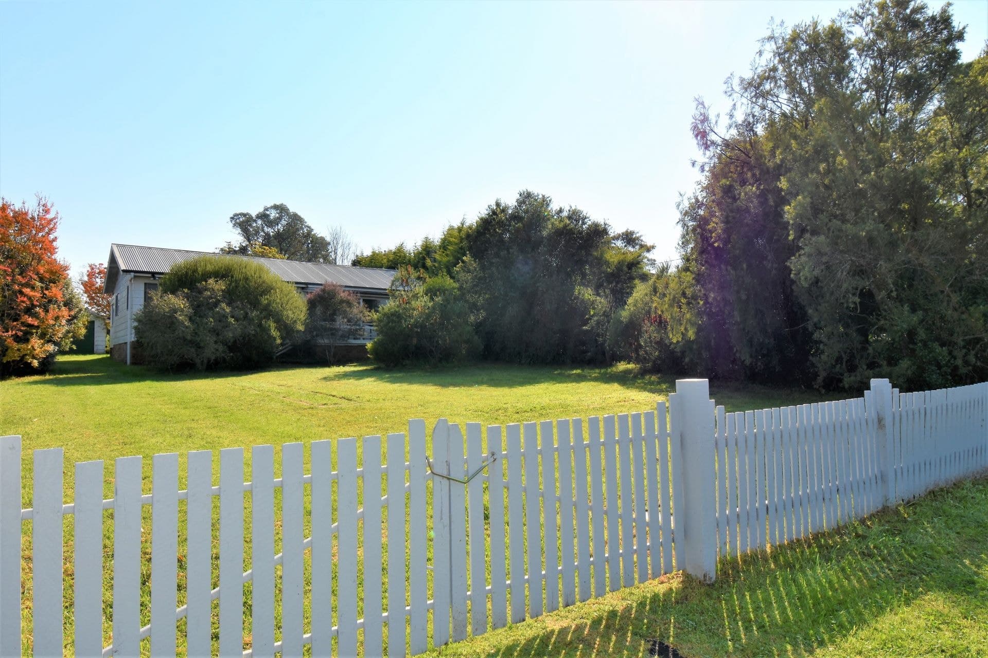 14 Hillview Street, Cobargo, Cobargo - Thumbnail 7
