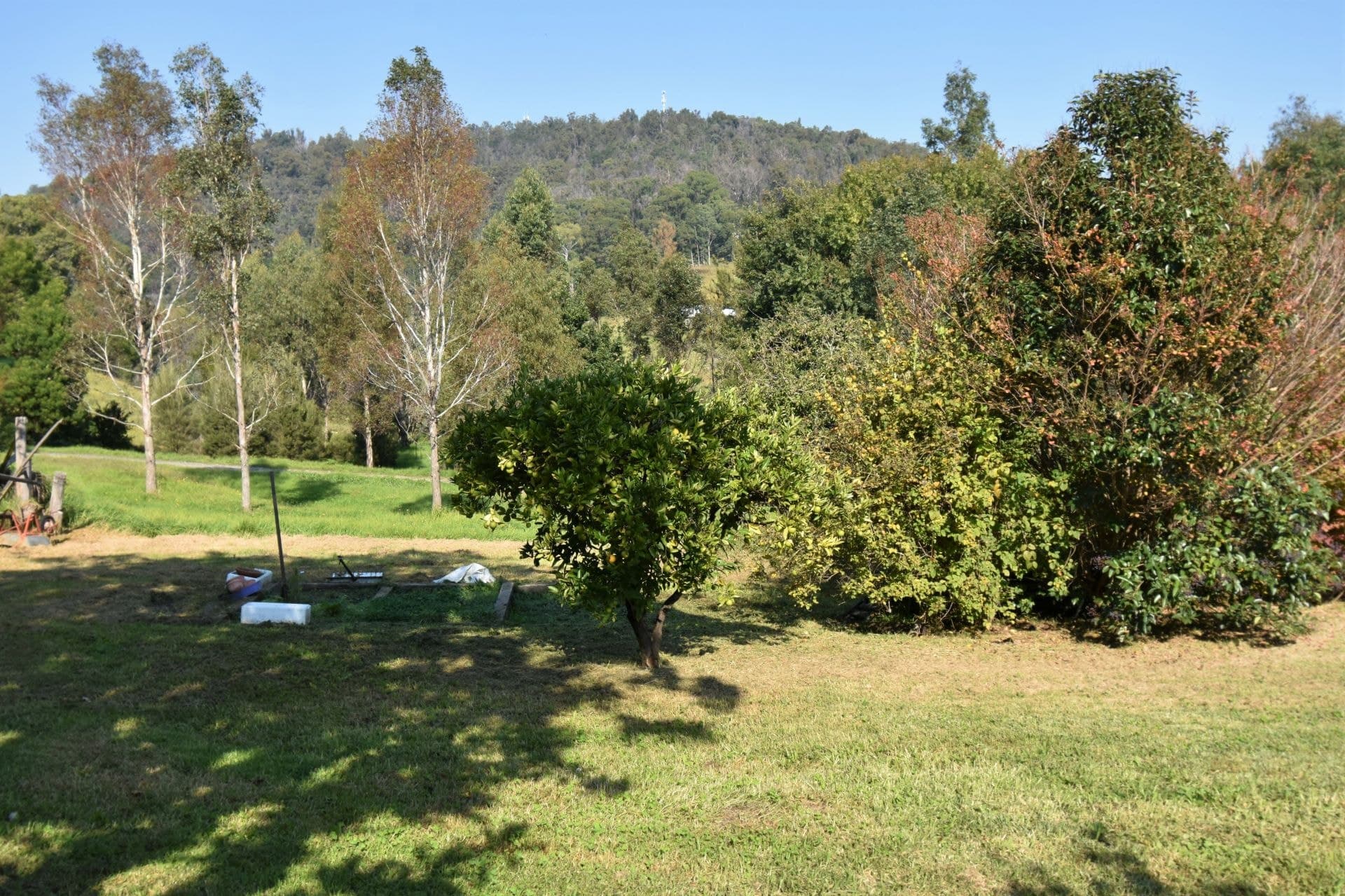 17 Cobargo Bermagui Road, Cobargo, Cobargo - Image 1