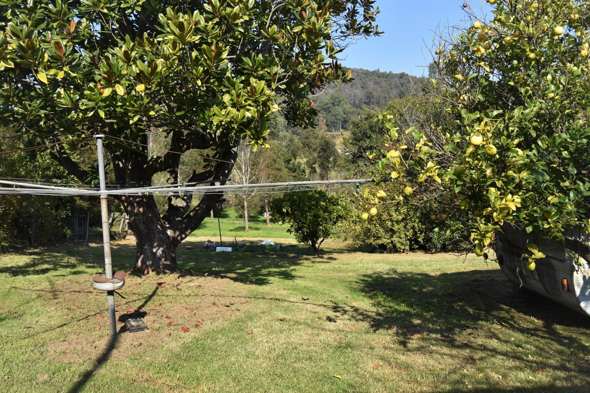 17 Cobargo Bermagui Road, Cobargo, Cobargo - Thumbnail 2
