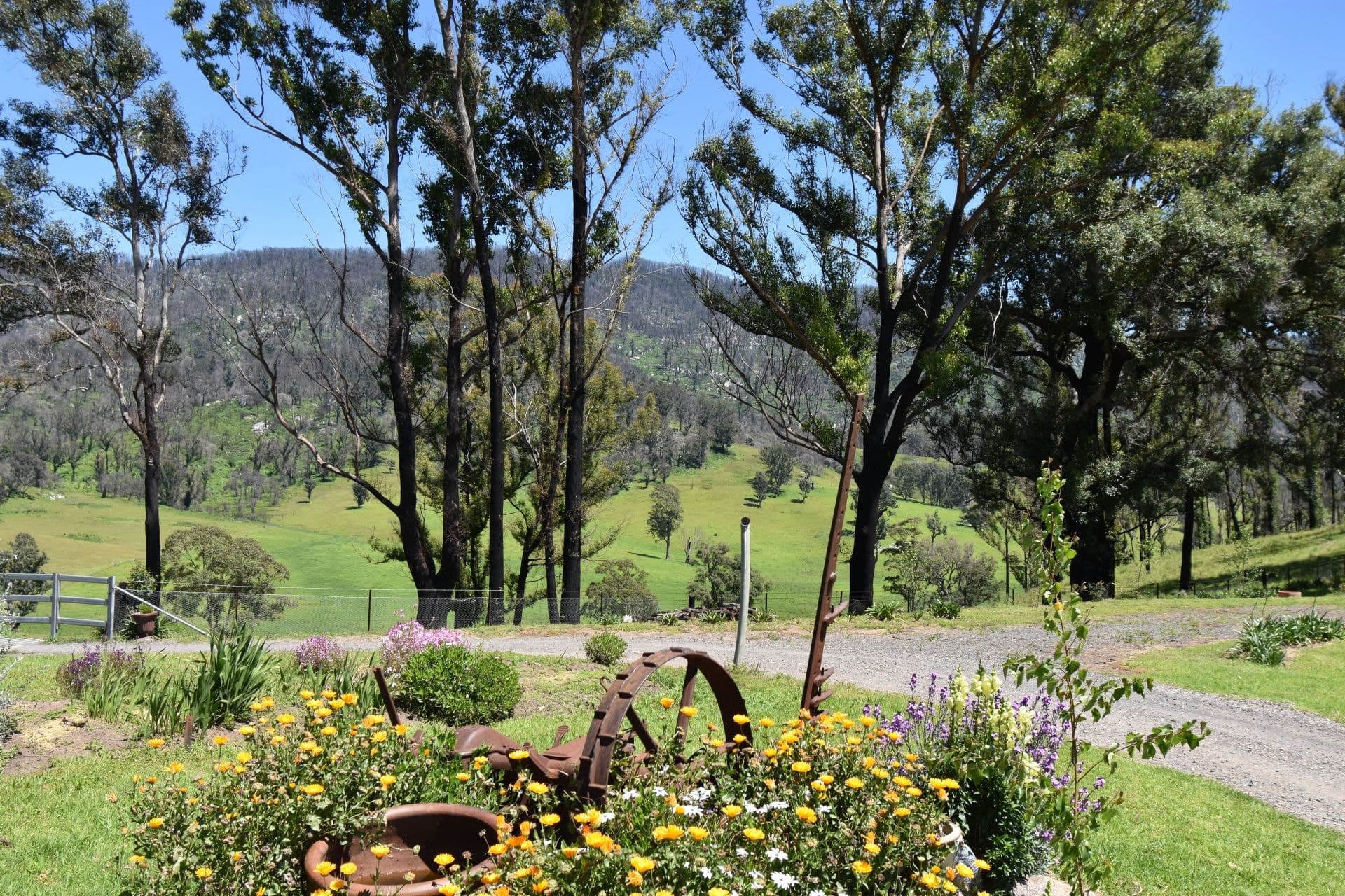 180 Quinlans Road Verona NSW, Verona - Thumbnail 5