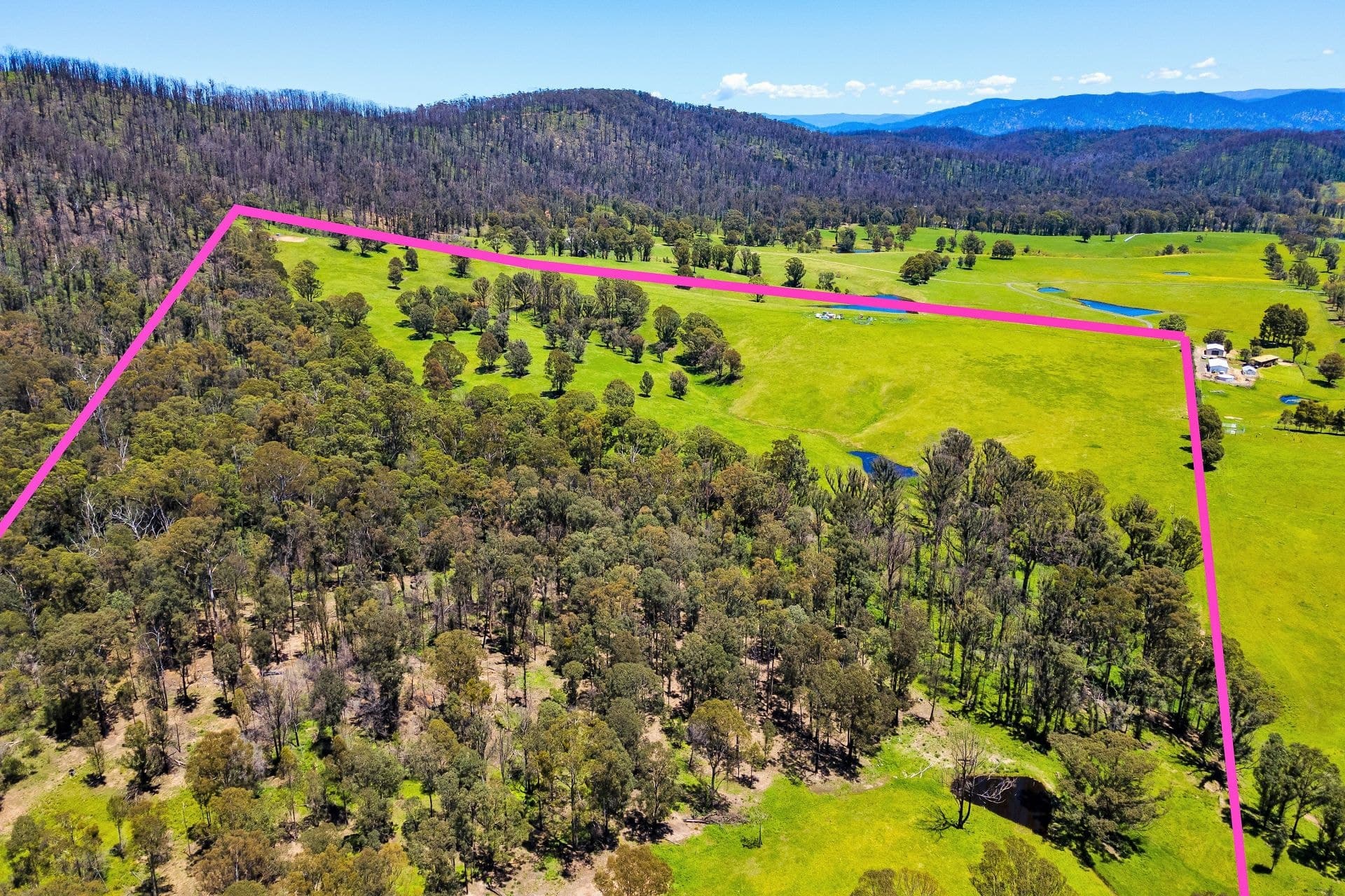 339 Coolagolite Road, Bermagui, Bermagui - Thumbnail 5
