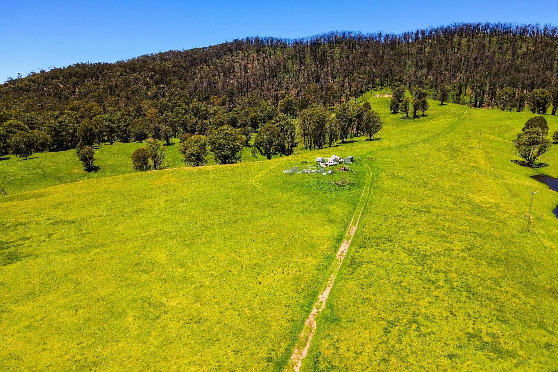 339 Coolagolite Road, Bermagui, Bermagui - Thumbnail 6