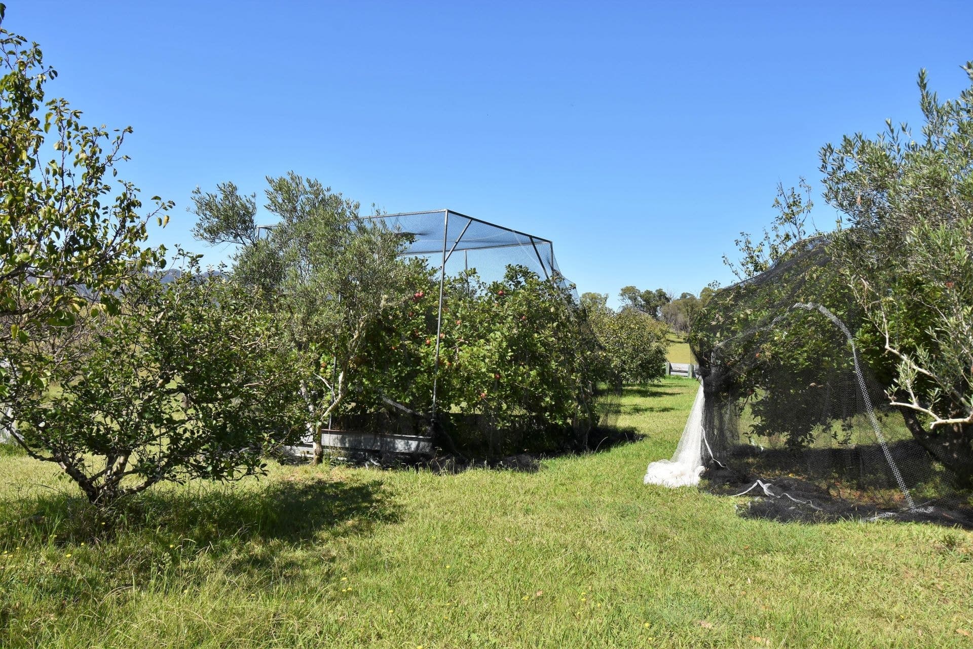 159 Upper Brogo Road, Verona, Verona - Image 1