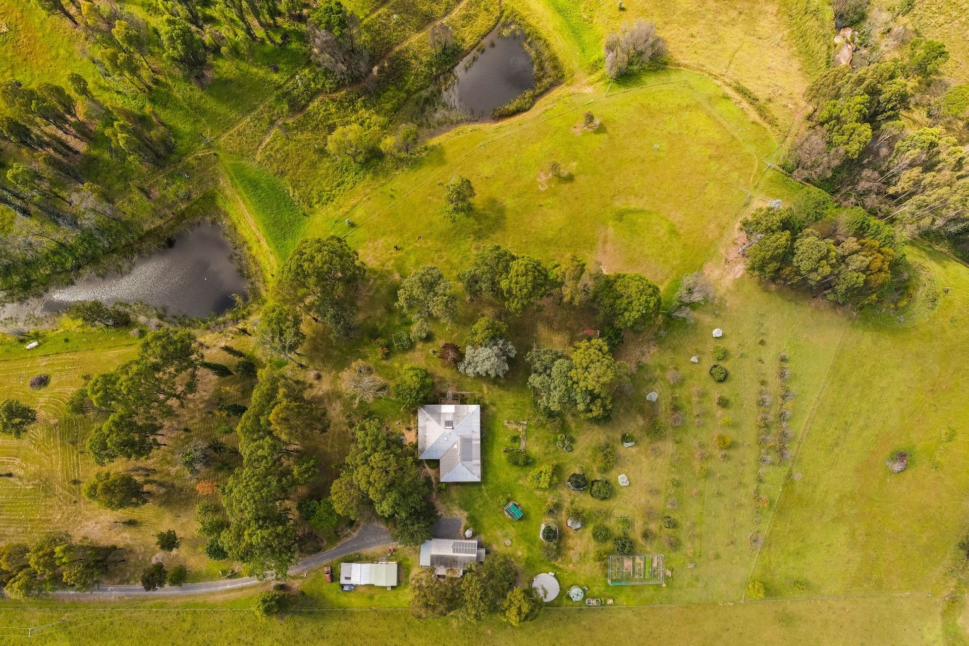 159 Upper Brogo Road, Verona, Verona - Thumbnail 2
