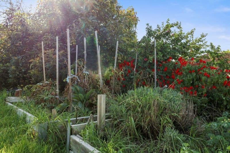 8 Waratah Court Tura Beach NSW, Tura Beach - Thumbnail 2