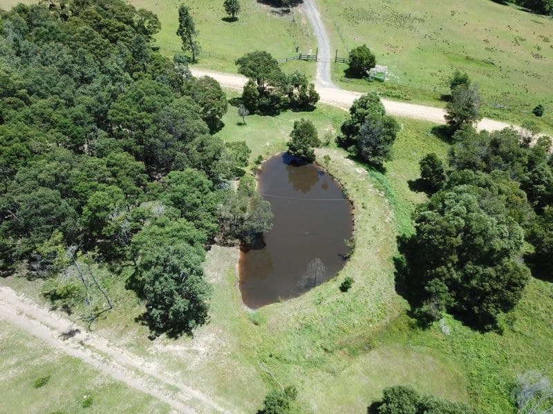 207 Buckleys Road, Bemboka, Bemboka - Thumbnail 2