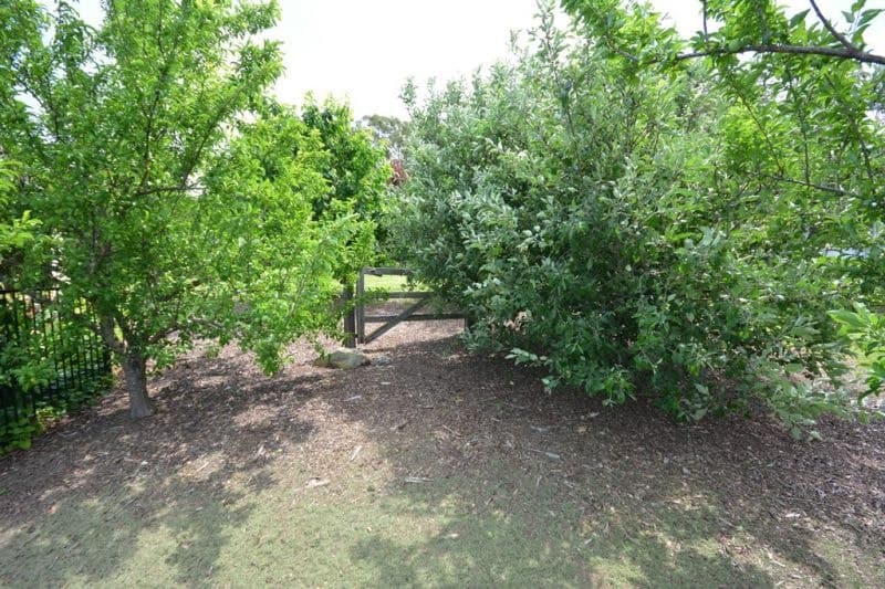 115 Link Road, Cobargo, Cobargo - Image 1