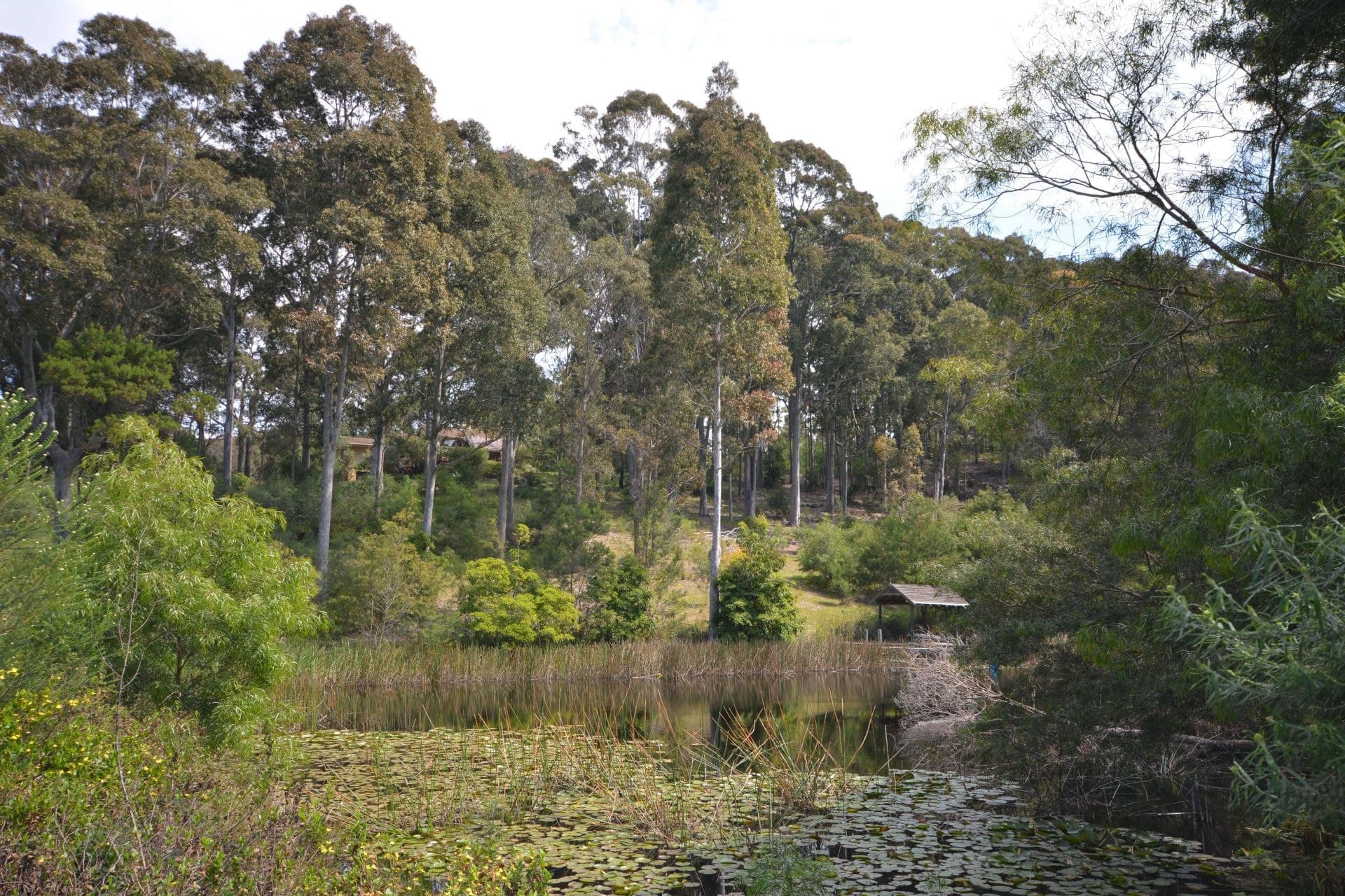 5 Rikkara Avenue Barragga Bay NSW, Barragga Bay - Thumbnail 7