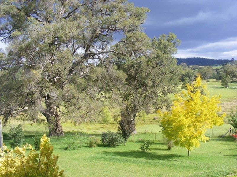 73 Narawa Place, Bega, Bega - Thumbnail 2