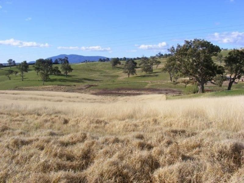 Lot 14 Max Slater Drive Bega NSW, Bega - Image 1