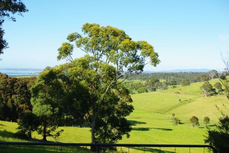 126 Haxstead Road, Central Tilba, Central Tilba - Image 1