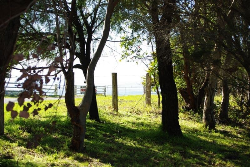 126 Haxstead Road, Central Tilba, Central Tilba - Thumbnail 2