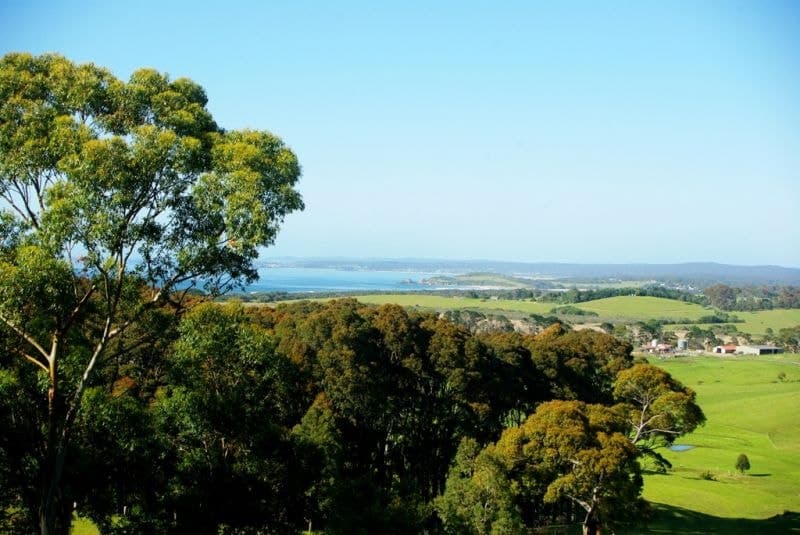 126 Haxstead Road, Central Tilba, Central Tilba - Thumbnail 4