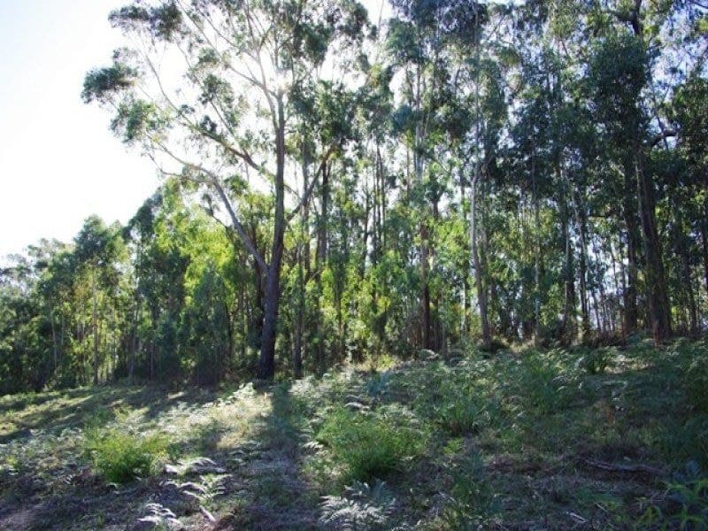35/ Murrabrine Road, Yowrie, Yowrie - Thumbnail 5
