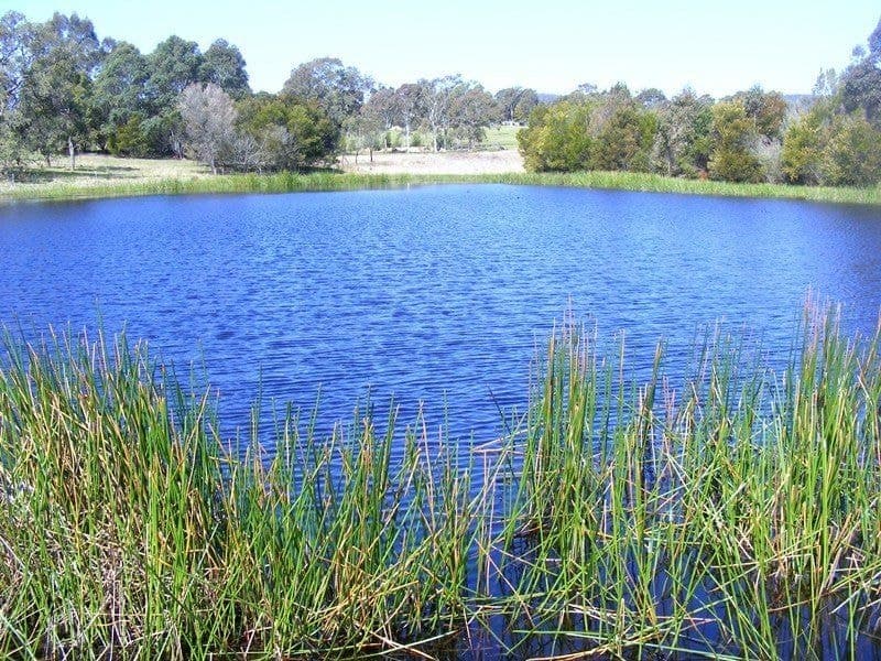 73 Cherry Lane, Wolumla, Wolumla - Thumbnail 4