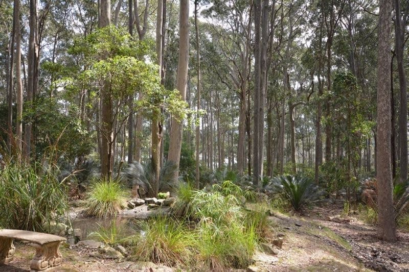 3639 Tathra-Bermagui Road Cuttagee NSW, Cuttagee - Image 1