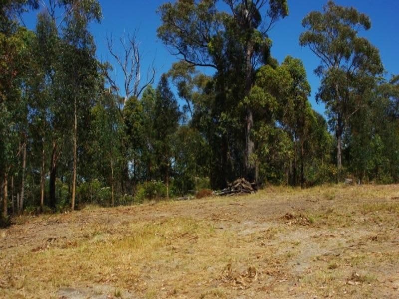 Lot 21 Bermagui-Cobargo Road Bermagui NSW, Bermagui - Image 1
