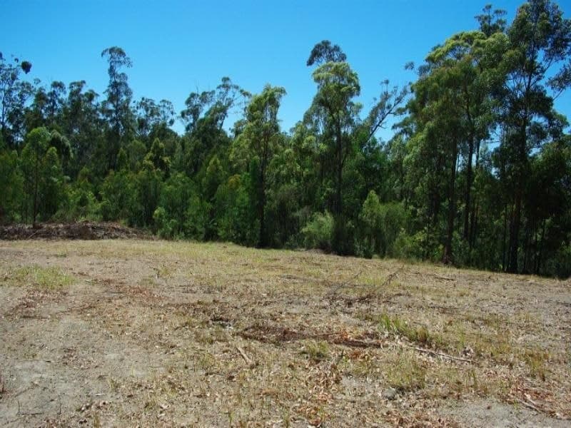 Lot 21 Bermagui-Cobargo Road Bermagui NSW, Bermagui - Thumbnail 4